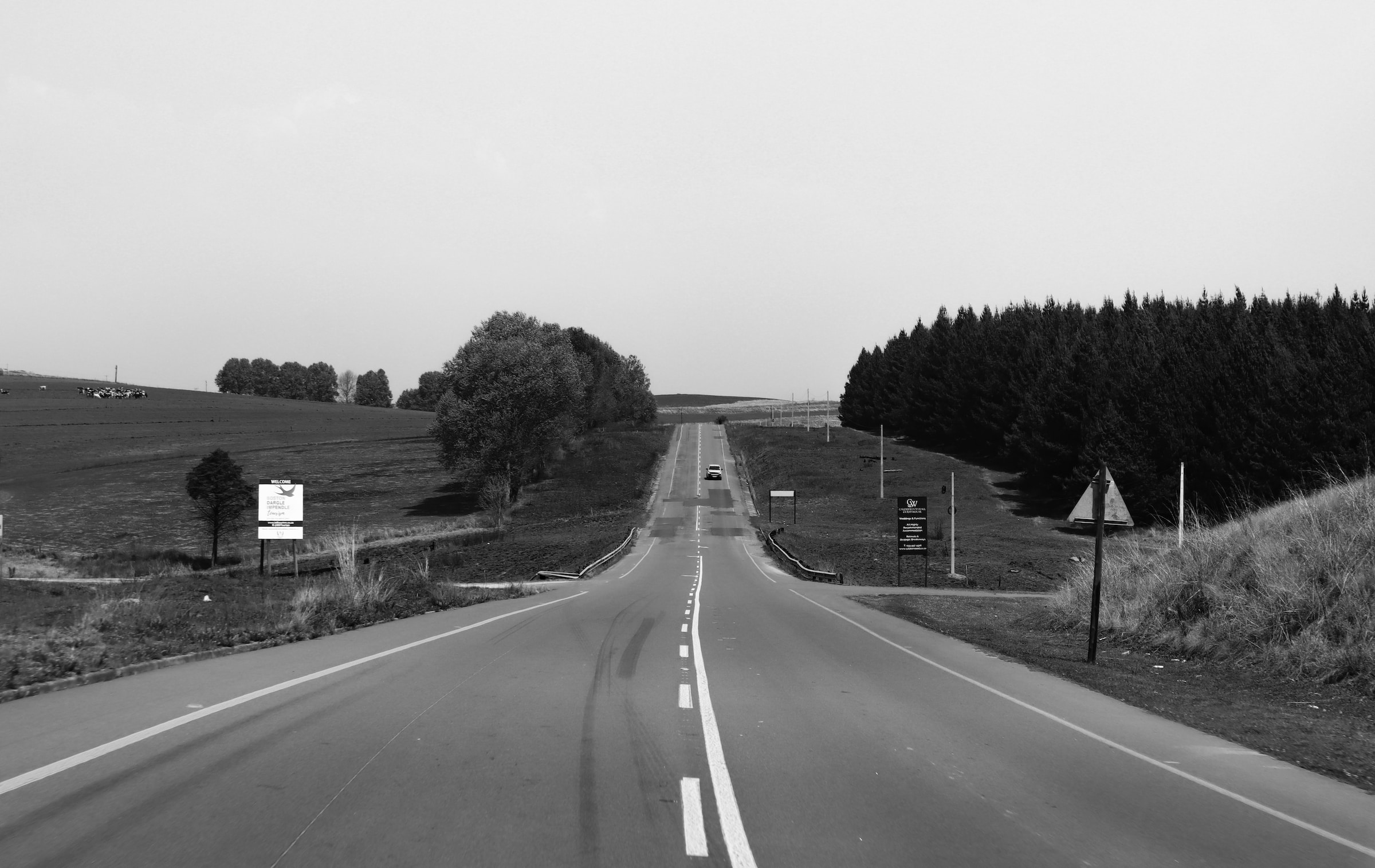 Referenzbild